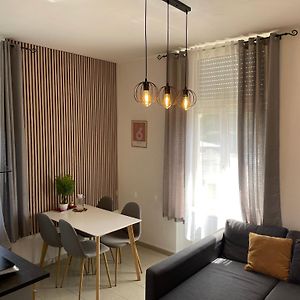 Schoenes Apartment Am Rhein - Zentral